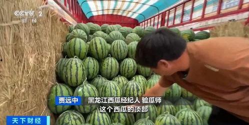 五一吃瓜网最新官网入口,揭秘五一热门话题，尽享娱乐盛宴！