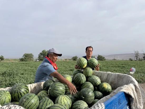 五一吃瓜网最新官网入口,揭秘五一热门话题，尽享娱乐盛宴！