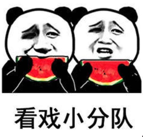 吃瓜表情包什么意思,揭秘网络社交中的“围观”文化